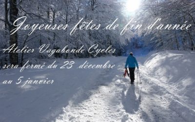 Joyeuses fêtes de fin d’année 2020